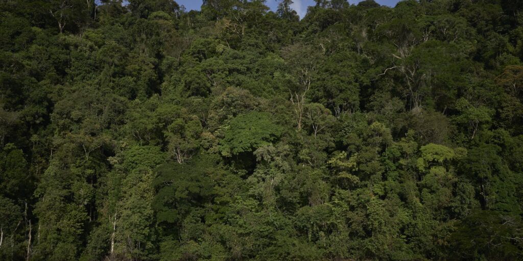 vetos-a-lei-de-licenciamento-ambiental-entram-na-pauta-do-congresso