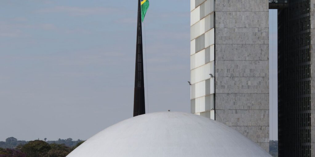 apos-conducao-coercitiva,-ex-coordenador-do-inss-depoe-na-cpmi