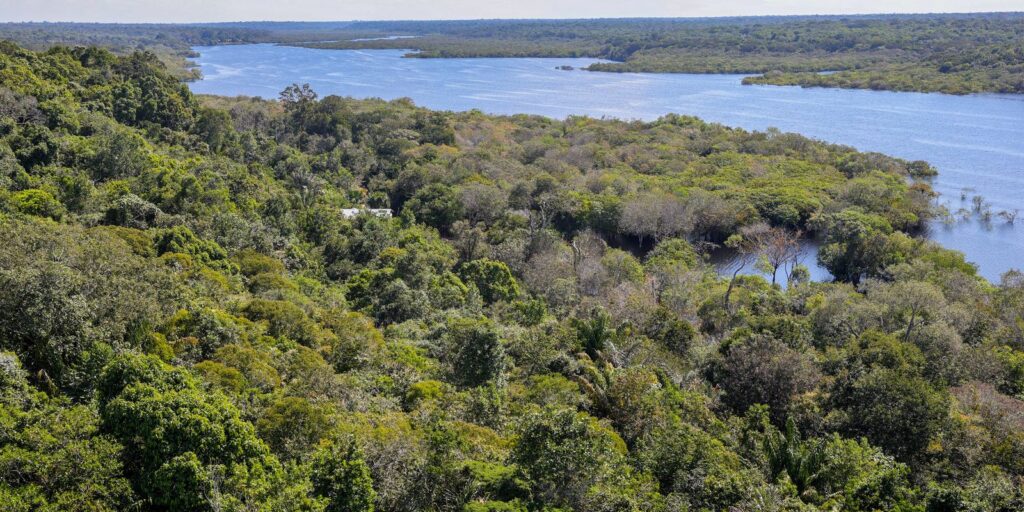 plano-para-biodiversidade-preve-criacao-de-unidades-de-conservacao