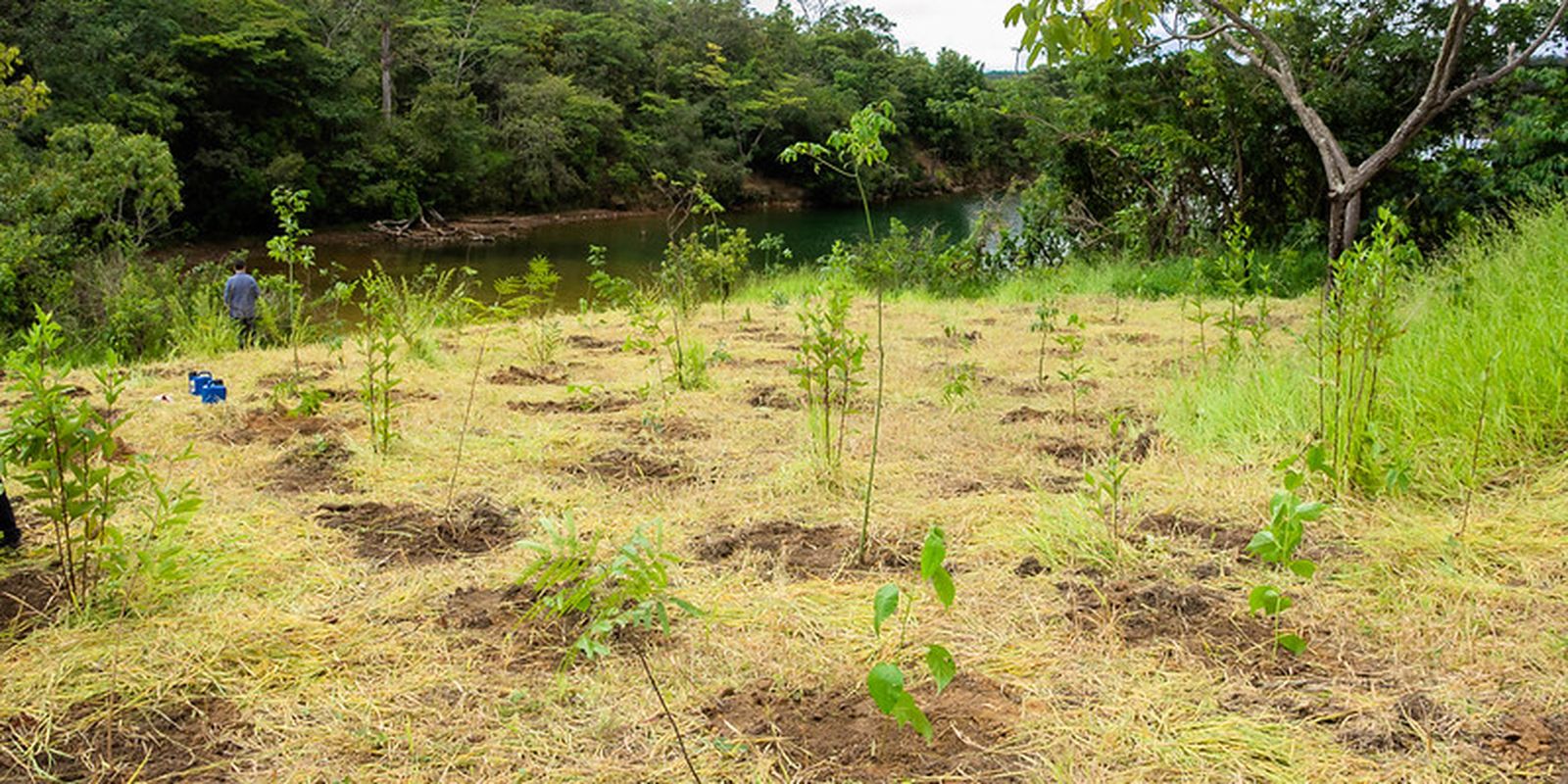 serrinha-do-paranoa-(df)-vira-parque-para-proteger-ecossistemas