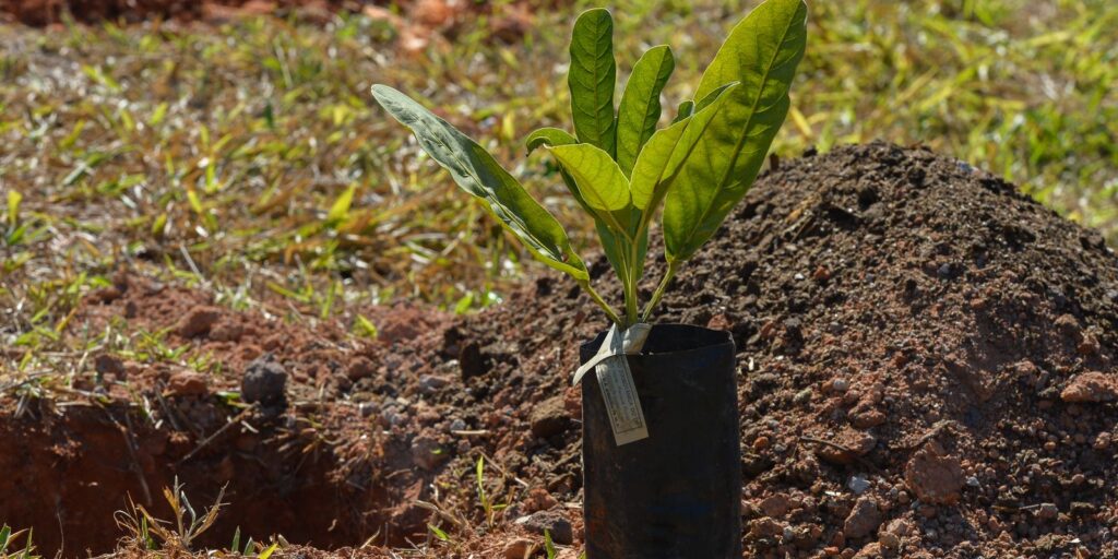 sesi-lab-inaugura-espaco-que-abriga-sistema-agroecologico-educativo