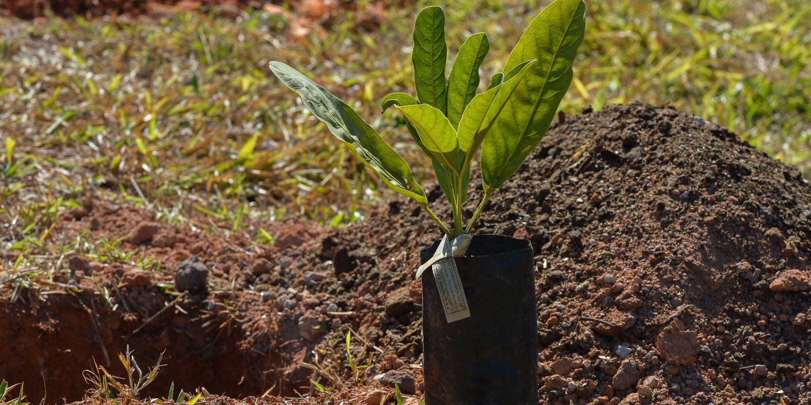 sesi-lab-inaugura-espaco-que-abriga-sistema-agroecologico-educativo