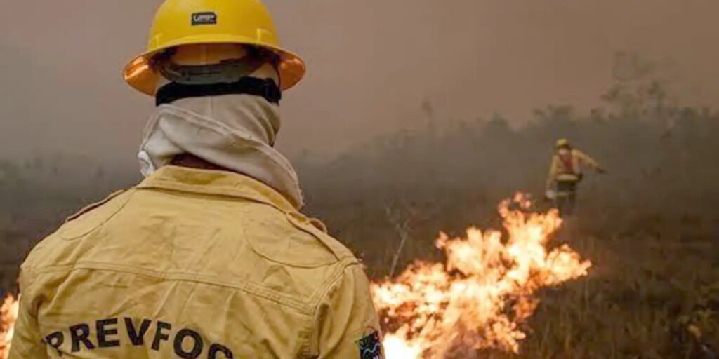 plano-de-acao-contra-incendios-no-amazonas-tera-r$-14-milhoes