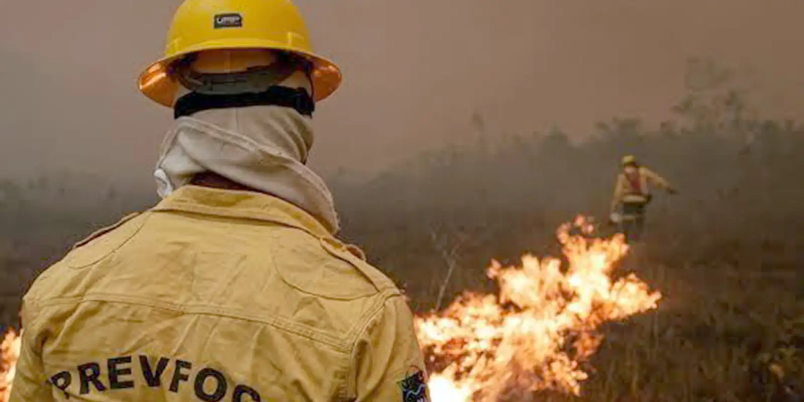 plano-de-acao-contra-incendios-no-amazonas-tera-r$-14-milhoes