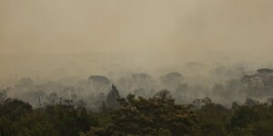 forca-nacional-do-sus-apoia-atendimentos-no-amazonas-apos-incendios