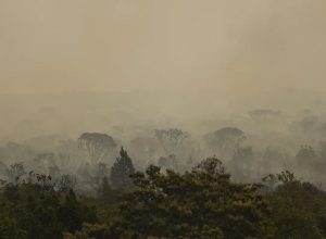 forca-nacional-do-sus-apoia-atendimentos-no-amazonas-apos-incendios